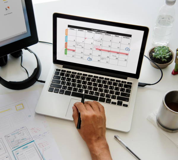 Weekly & Monthly Reporting